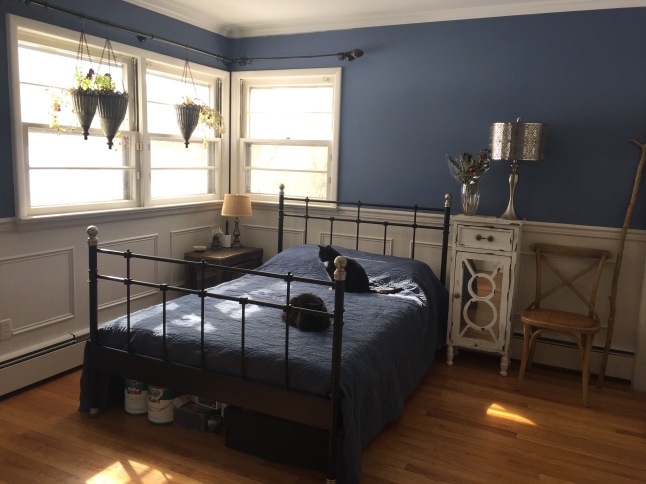 guest room blue